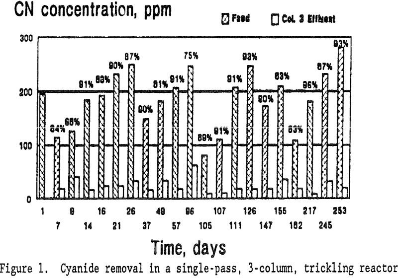 Cyanide Biodegradation - 911Metallurgist heap-rinsing cyanide removal