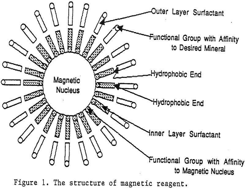 Magnetic Reagents - 911Metallurgist magnetic reagent structure