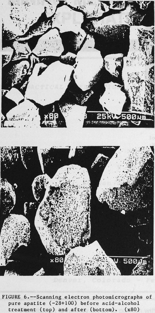 Apatite Leaching using H2SO4 & Methanol - 911Metallurgist apatite-particles scanning electron photomicrograph