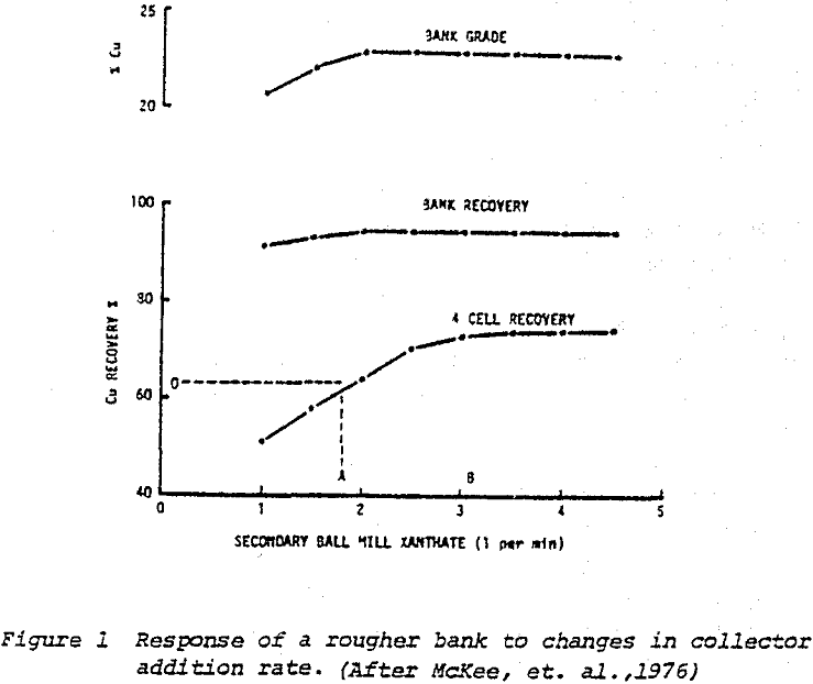 copper flotation plants response of a rougher bank