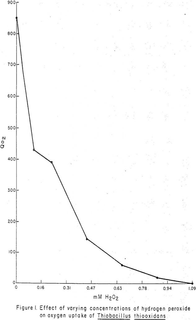 The Effect of Hydrogen Peroxide on Leach Dump Bacteria - 911Metallurgist effect-of-hydrogen-peroxide varying concentrate