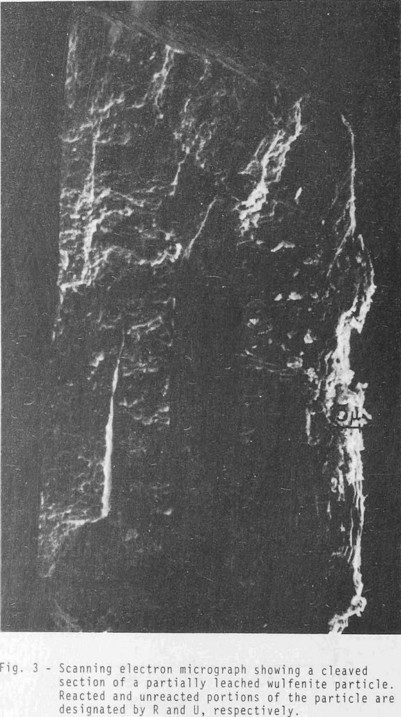 Sulfide Ion Leaching Kinetic of Wulfenite - 911Metallurgist sulfide-ion-leaching eletron micrograph
