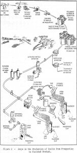 kaolin steps in the production