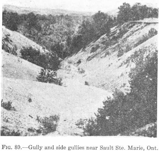 Types of Formations Caused by Erosion - 911Metallurgist Gully and side gullies