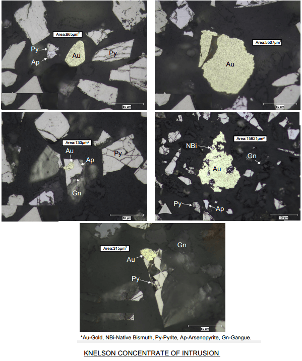 Fine Gravity Gold - 911Metallurgist KNELSON CONCENTRATE OF INTRUSION
