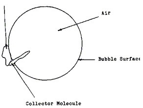 Flotation Collectors - 911Metallurgist collected flotation bubble